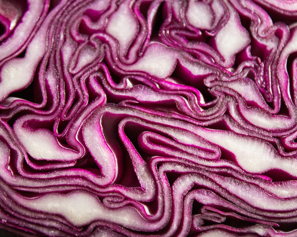 LCHF Lebensmittel - Rotkohl in der Schnittfläche